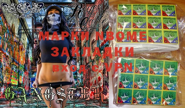 стаф Верея