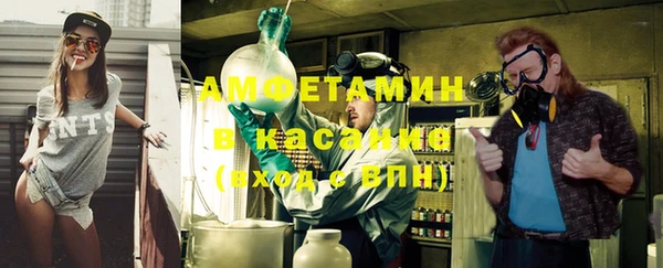 стаф Верея
