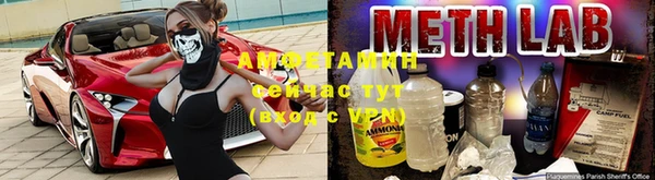стаф Верея