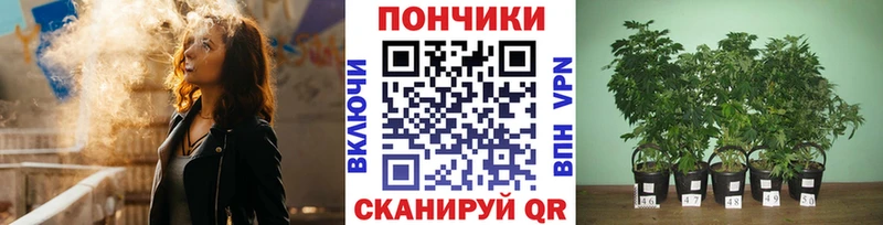 Бошки Шишки White Widow  Купить  Краснозаводск 